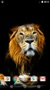 3D Animals Live Wallpaper screenshot 2