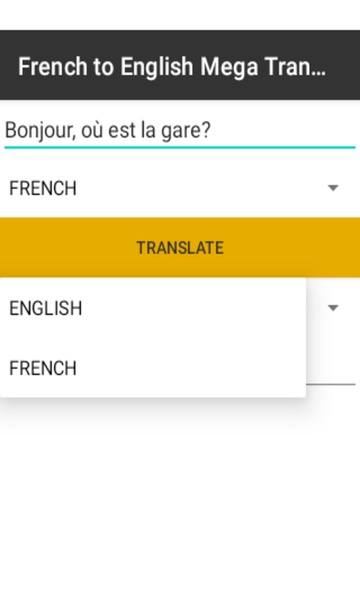 French to English Mega Translator - Preview 1