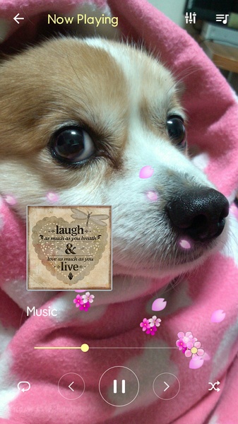 Flower Music Player - Preview 4