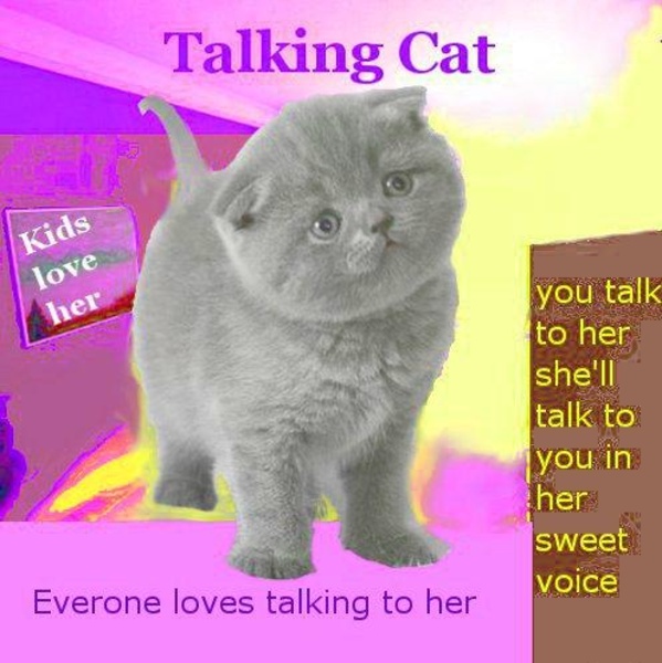 Cat Talking - Preview 1