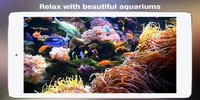 3D Aquarium Live Wallpaper Pro screenshot 2