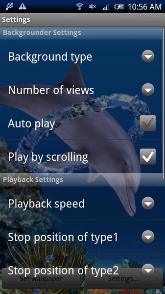Dolphin Ring Trial - Preview 1