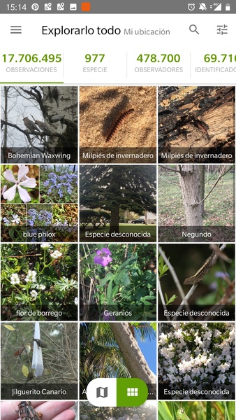 iNaturalist - Preview 9