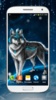 الذئب خلفيات حية screenshot 3
