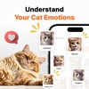 Human to Cat Translator screenshot 3