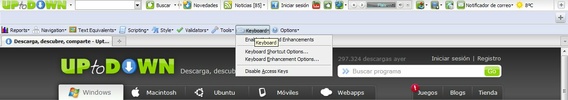 Accessibility Evaluation Toolbar screenshot 2