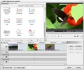 AVS Video Converter screenshot 1