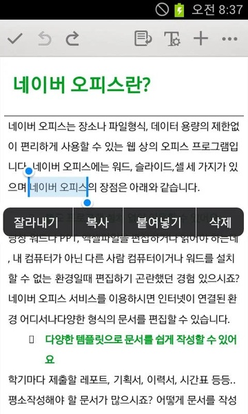 Naver Office - Preview 6
