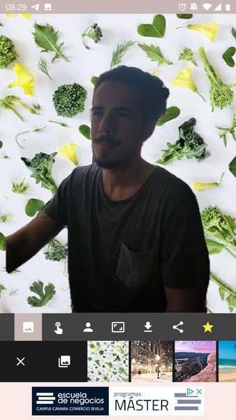Automatic Background Changer - Preview 5