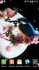 Sakura and Bird Live Wallpaper screenshot 8
