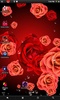 Roses Wallpaper screenshot 4