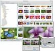 FastStone Image Viewer screenshot 3