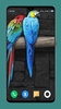 Parrot Wallpapers 4K screenshot 4