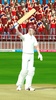 Cricket Megastar 2 screenshot 7