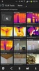 FLIR Tools screenshot 8