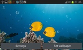 Coral Reef Live Wallpaper screenshot 3