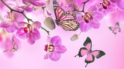 Pink Flowers Live Wallpaper screenshot 1