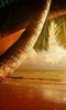 Beach Sunset Live Wallpaper screenshot 2