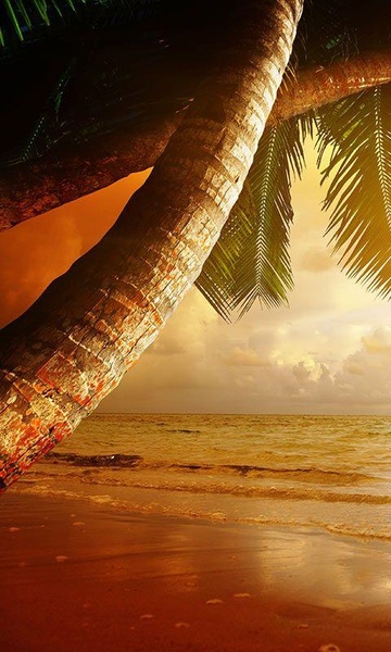 Beach Sunset Live Wallpaper - Preview 2
