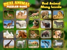 Real Animal Puzzle Game screenshot 1