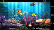 Fish Aquarium screenshot 7