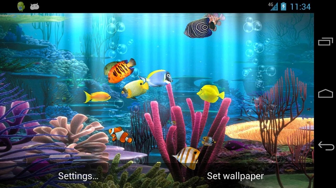 Fish Aquarium - Preview 7