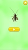 Insect Sounds screenshot 12