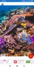 Coral Reef HD Wallpapers screenshot 7