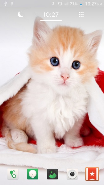 Cat Wallpapers Cute - Preview 4