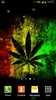 Rasta Marihuana Hintergrund screenshot 3