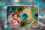 Peacock Feather Photo Frames screenshot 4