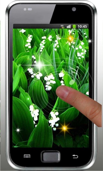 Springs Lilies Flowers - Preview 1