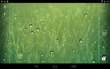 雨滴 screenshot 3