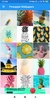 Pineapple HD Wallpapers screenshot 2