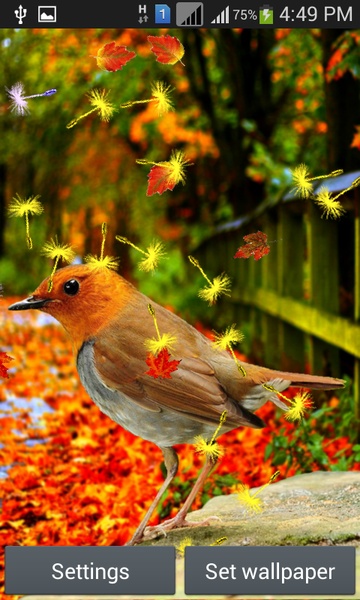 Singing Birds LWP - Preview 5