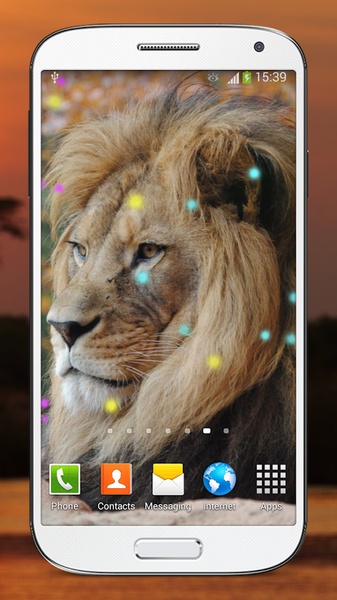 Wild Lion Live Wallpaper HD - Preview 3