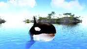 The Killer Whale screenshot 1