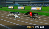 Crazy Dog Racing Fever screenshot 1