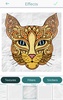 Cat Coloring Pages for Adults screenshot 4
