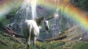 Magic Unicorns Screensaver screenshot 2