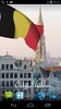 Belgium Flag screenshot 7