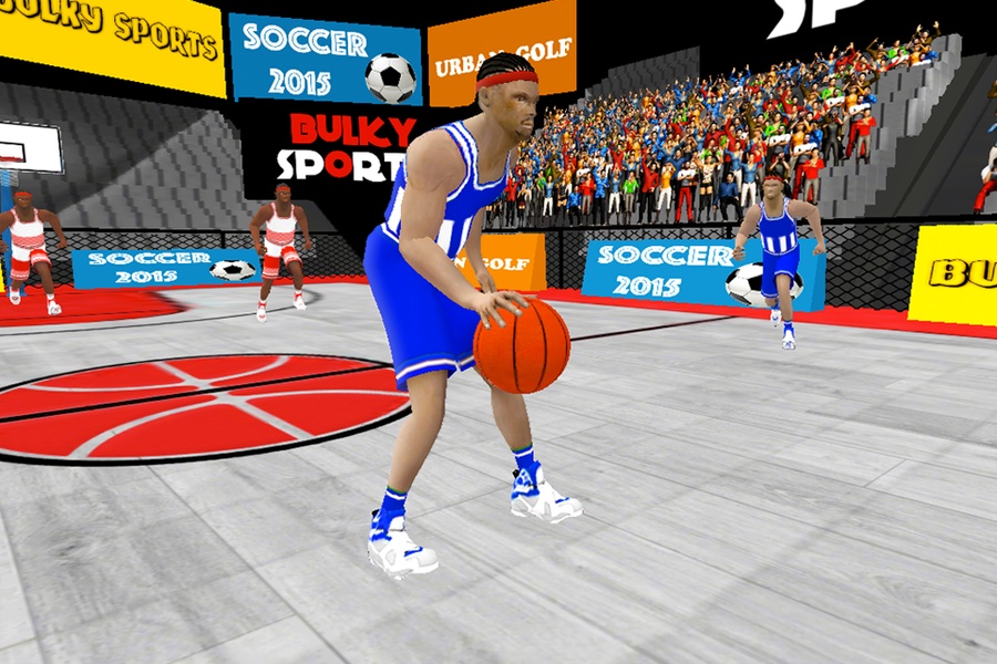 Basketball 2016 - Preview 3