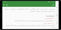 Urdu Lughat screenshot 3