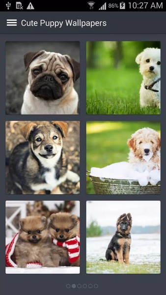 Cute Puppy Wallpapers - Preview 3