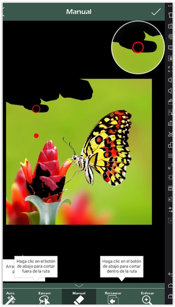Auto Background Changer - Preview 4