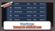 soccerstarmanagerlite screenshot 6