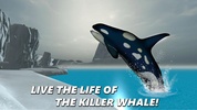 Killer Whale Simulator: Orca screenshot 4