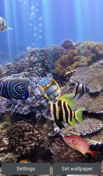 The real aquarium - HD - Preview 14