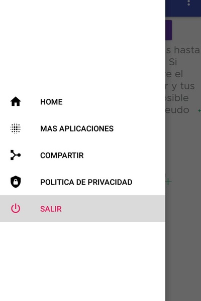 Consultar Multa Mexico - Preview 2
