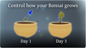 Pocket Bonsai screenshot 2